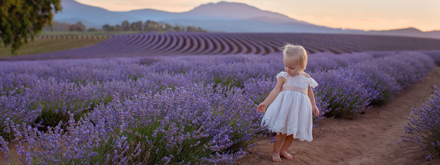 640薰衣草bridestowe-lavender-sweet-girl-photo-credit-Rainee-Lantry.jpg