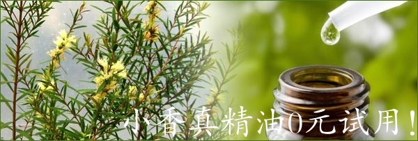 茶树Tea-Tree-Oil.jpg