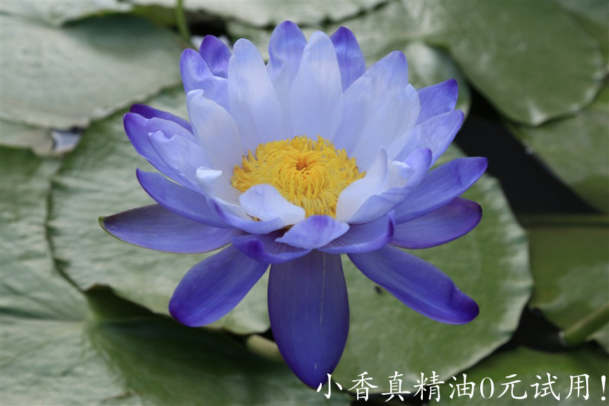 微信图片_20241023161436.png