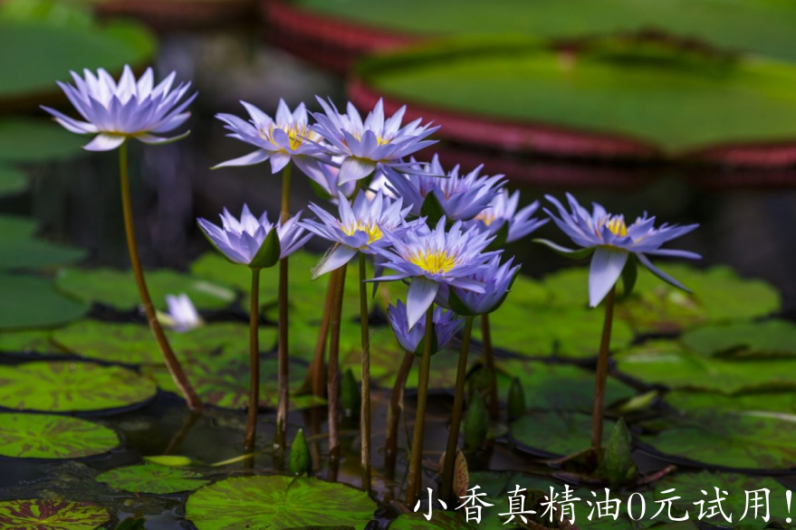 微信图片_20241023161833.png
