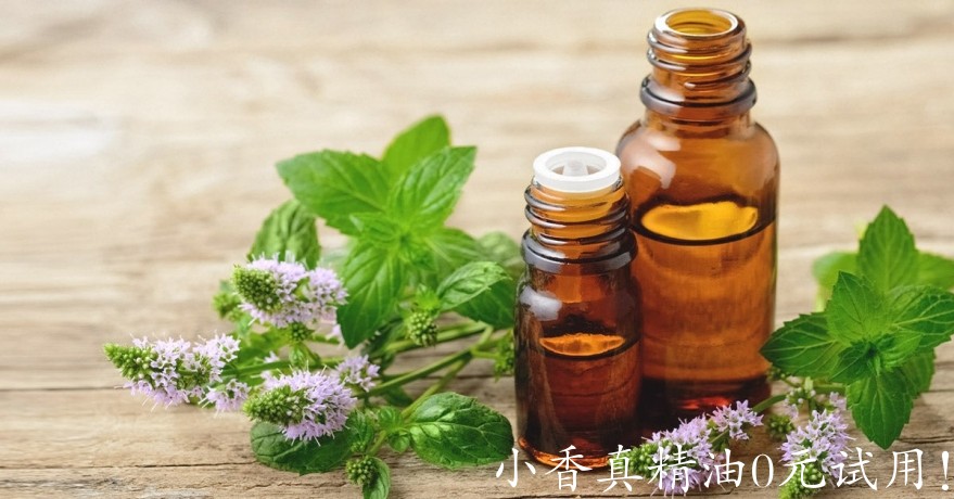 10008薄荷.jpg