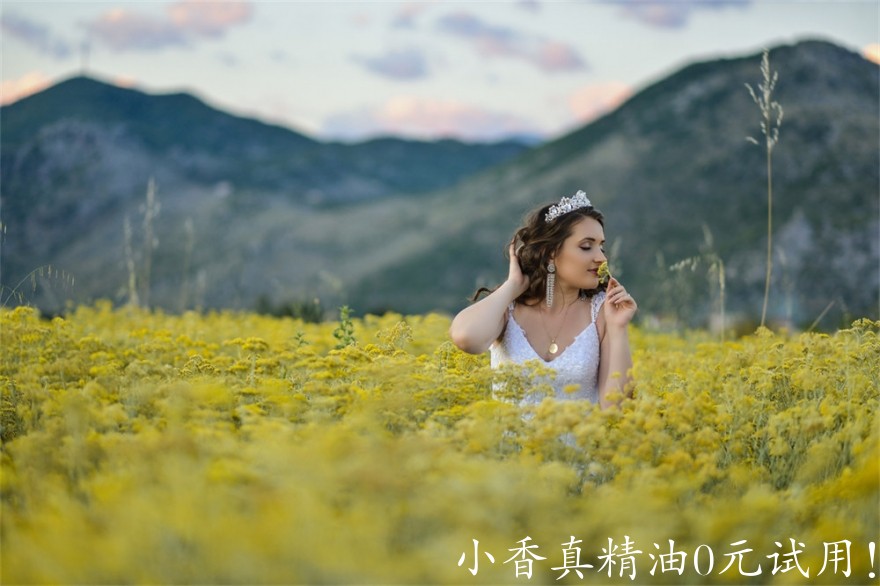 永久花Immortelle-Therapy-Helichrysum-field-farm.jpg
