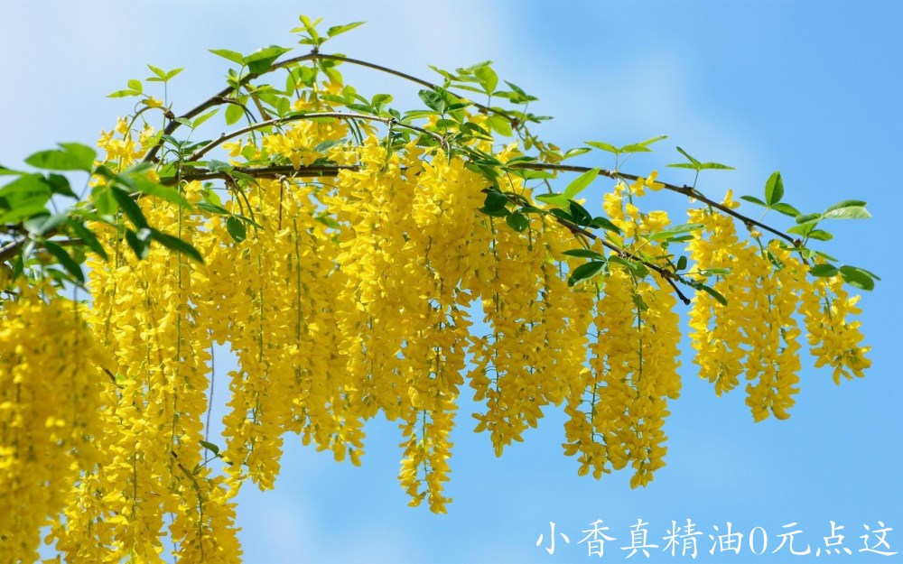 微信图片_20241114163320.png