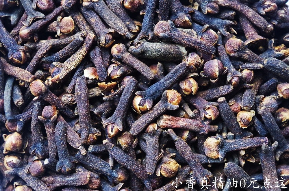 丁香图片由Ajale在Pixabay上发布 (2).jpg