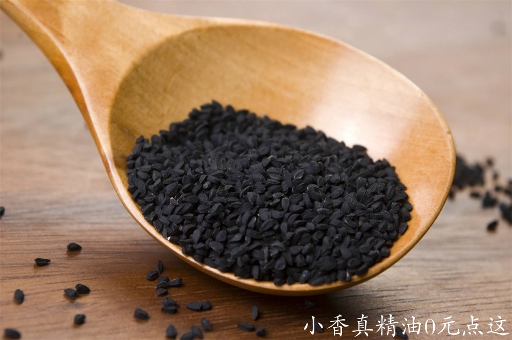 黑种草Black-Cumin-cover.jpg