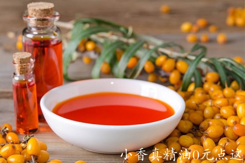 沙棘油.jpg