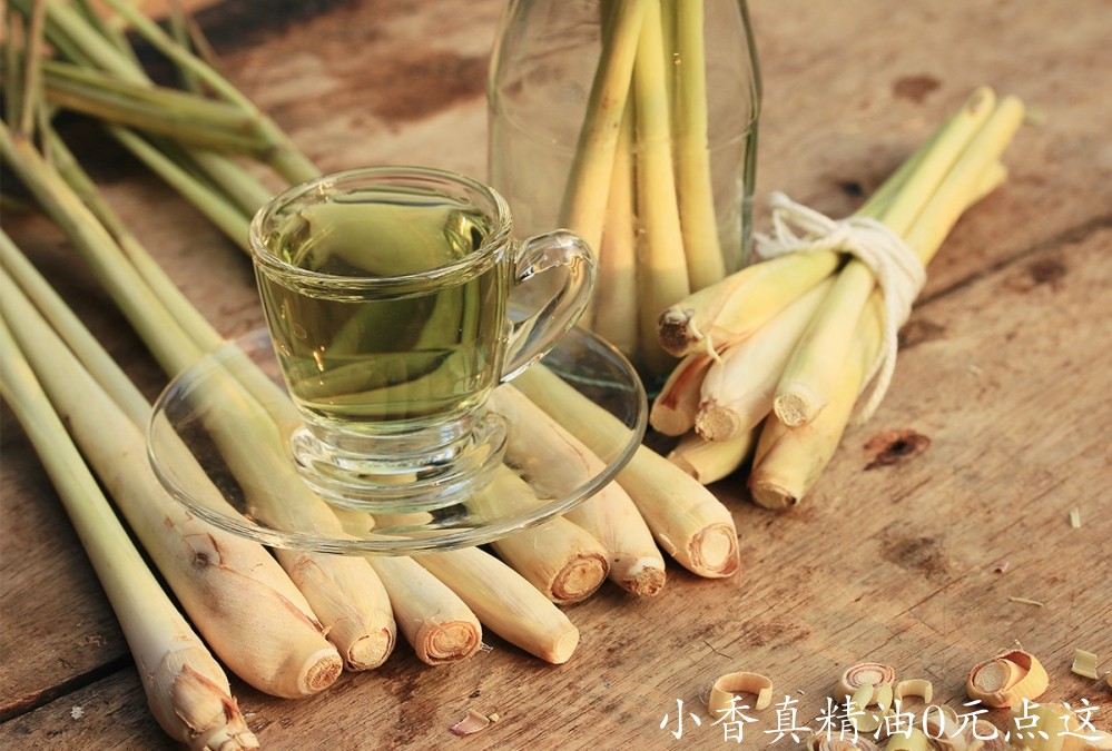 10010柠檬草.jpg