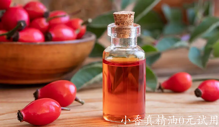 玫瑰果油2.png